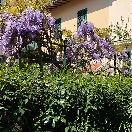 Gelsomino Pensión Florencia